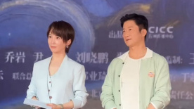 百分百的实际政事